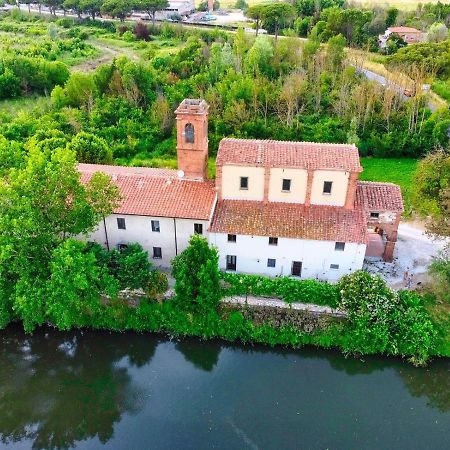 - Il Casale Toscano - 1900Mt From Leaning Tower - No Breakfast - Free Parking - Self Check-In Only From June 15Th Pisa Exteriér fotografie