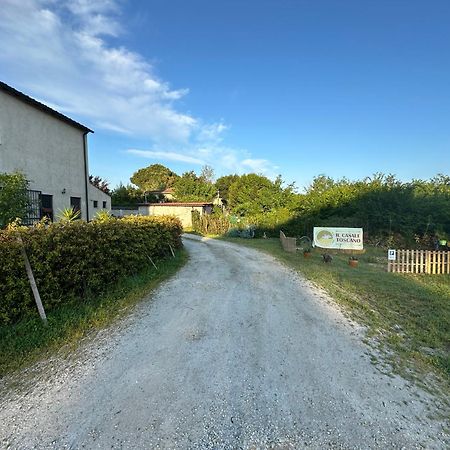- Il Casale Toscano - 1900Mt From Leaning Tower - No Breakfast - Free Parking - Self Check-In Only From June 15Th Pisa Exteriér fotografie